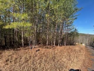 Lot9 Pinehurst Road Blairsville GA 30512