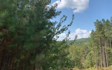 Lot9 Pinehurst Road Blairsville GA 30512