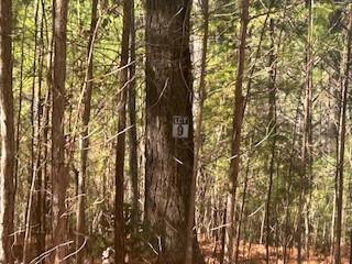 Lot9 Pinehurst Road Blairsville GA 30512