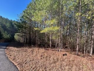 Lot9 Pinehurst Road Blairsville GA 30512