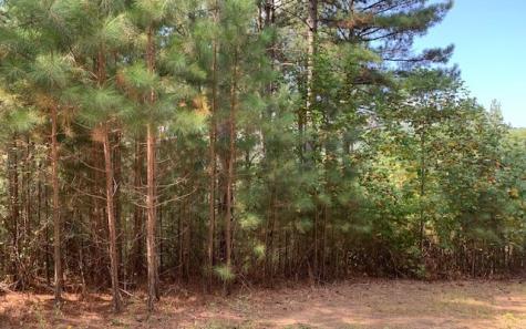 Lot9 Pinehurst Road Blairsville GA 30512