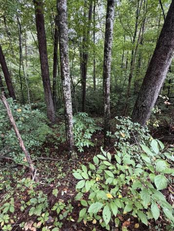 0 Little Wolf Creek Road Murphy NC 28906