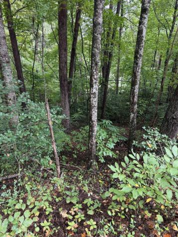 0 Little Wolf Creek Road Murphy NC 28906