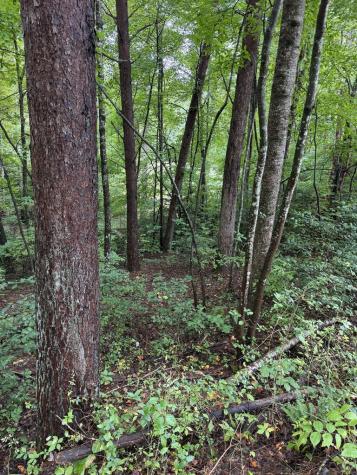 0 Little Wolf Creek Road Murphy NC 28906