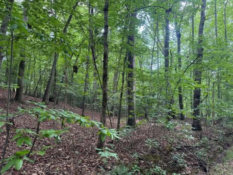 25 Mccracken Cove Road Hayesville NC 28904