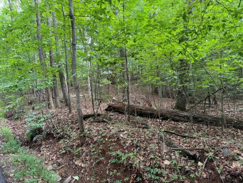 25 Mccracken Cove Road Hayesville NC 28904