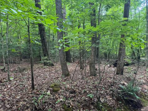 25 Mccracken Cove Road Hayesville NC 28904