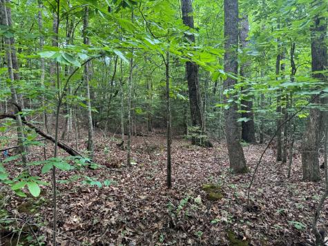 25 Mccracken Cove Road Hayesville NC 28904