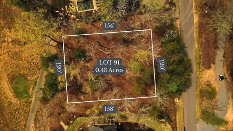 Lot 91 Fallen Leaf Road Mineral Bluff GA 30559