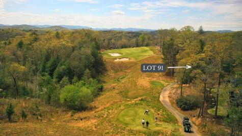 Lot 91 Fallen Leaf Road Mineral Bluff GA 30559