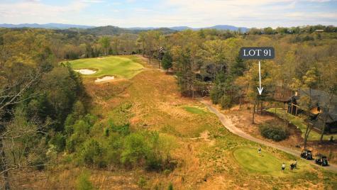 Lot 91 Fallen Leaf Road Mineral Bluff GA 30559