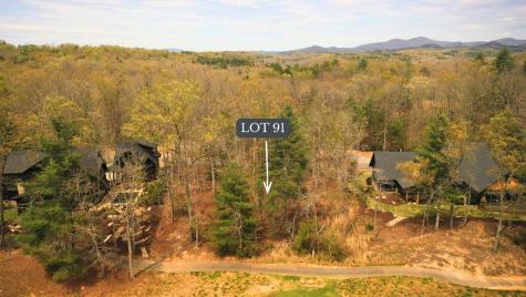 Lot 91 Fallen Leaf Road Mineral Bluff GA 30559