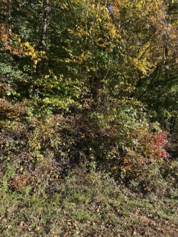 Lot 1 Henson Road Hayesville NC 28904