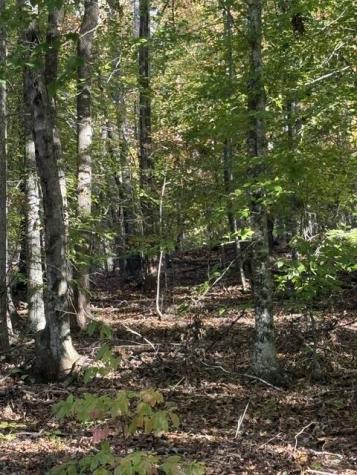 Lot 1 Henson Road Hayesville NC 28904