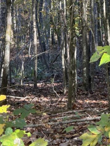 Lot 1 Henson Road Hayesville NC 28904