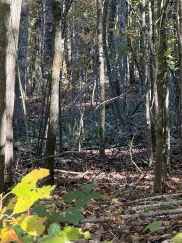 Lot 1 Henson Road Hayesville NC 28904
