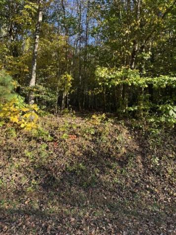 Lot 1 Henson Road Hayesville NC 28904