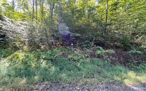 Lot 35 Hidden River Hayesville NC 28904