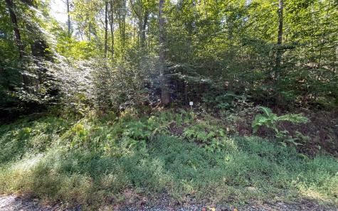 Lot 35 Hidden River Hayesville NC 28904
