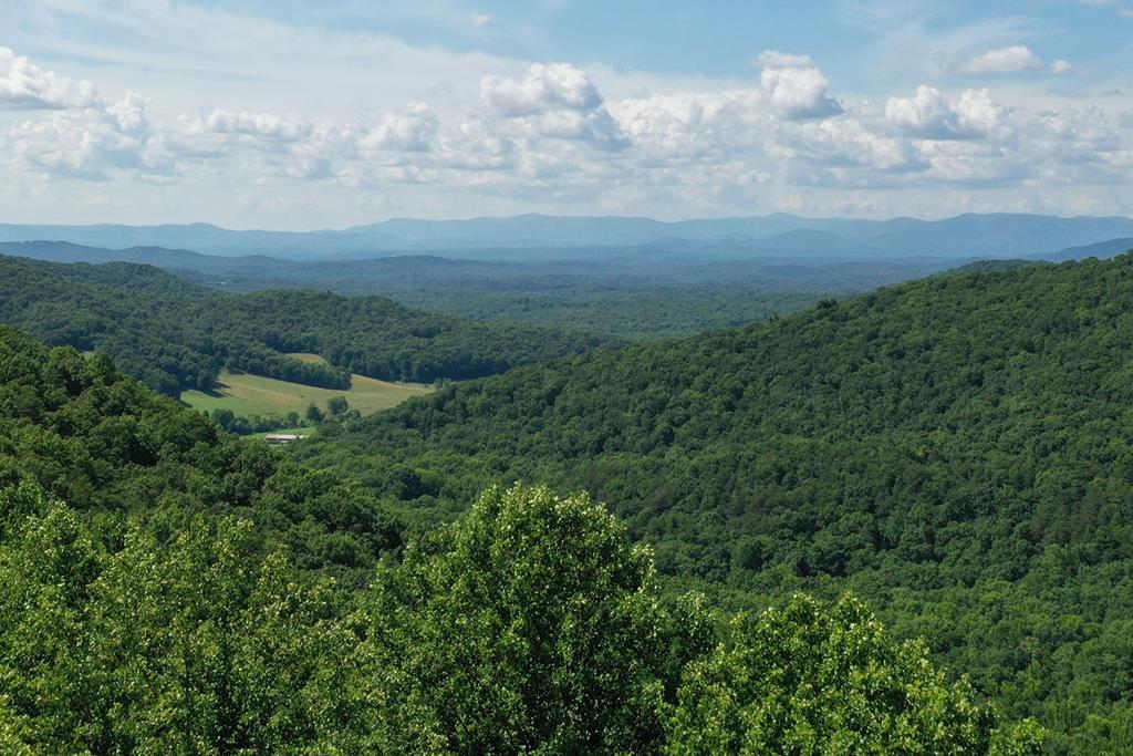 270R Stone Cliff Drive Ellijay GA 30536