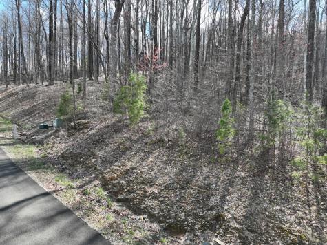 270R Stone Cliff Drive Ellijay GA 30536