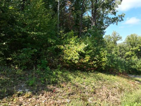 270R Stone Cliff Drive Ellijay GA 30536