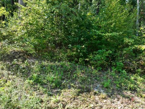 270R Stone Cliff Drive Ellijay GA 30536