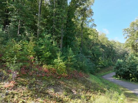 270R Stone Cliff Drive Ellijay GA 30536