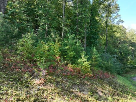 270R Stone Cliff Drive Ellijay GA 30536