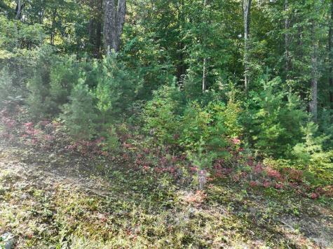 270R Stone Cliff Drive Ellijay GA 30536