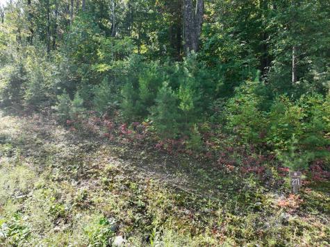 270R Stone Cliff Drive Ellijay GA 30536