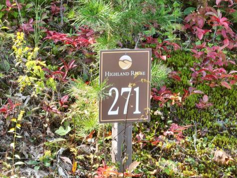 270R Stone Cliff Drive Ellijay GA 30536