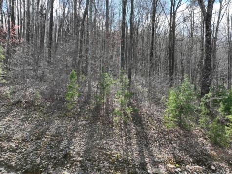 270R Stone Cliff Drive Ellijay GA 30536