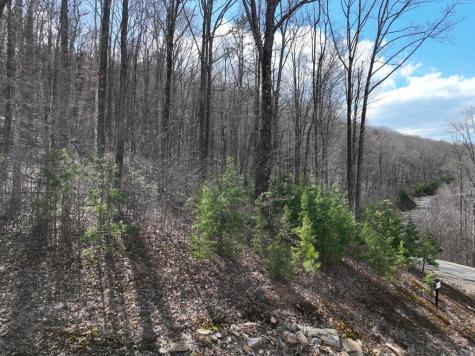 270R Stone Cliff Drive Ellijay GA 30536