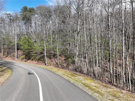 63 Street Andrews Way Ellijay GA 30536