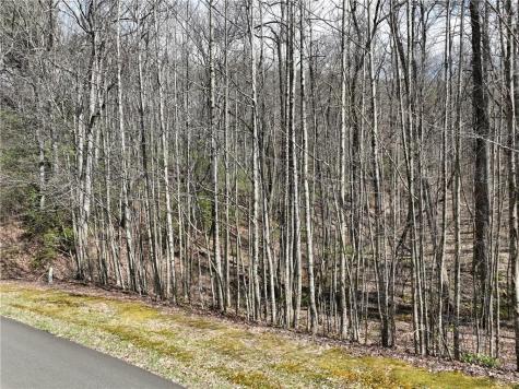 63 Street Andrews Way Ellijay GA 30536