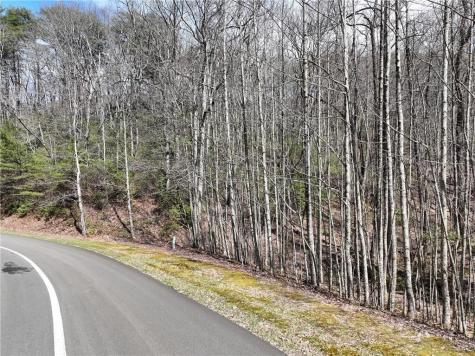 63 Street Andrews Way Ellijay GA 30536