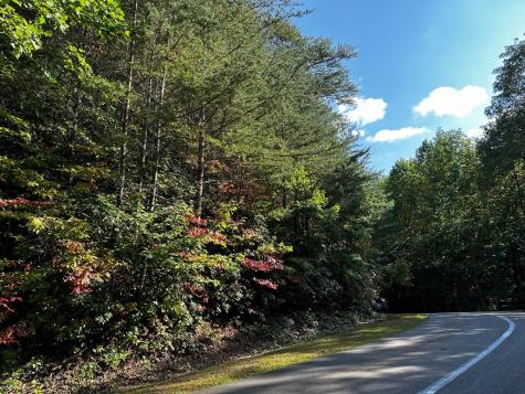 63 Street Andrews Way Ellijay GA 30536