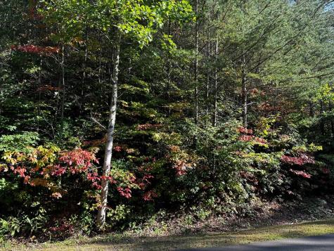 63 Street Andrews Way Ellijay GA 30536