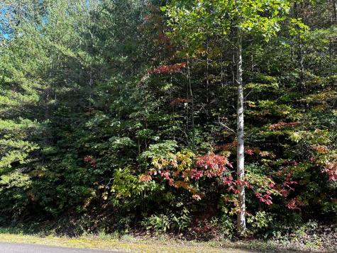 63 Street Andrews Way Ellijay GA 30536