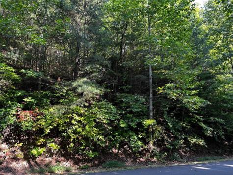 63 Street Andrews Way Ellijay GA 30536