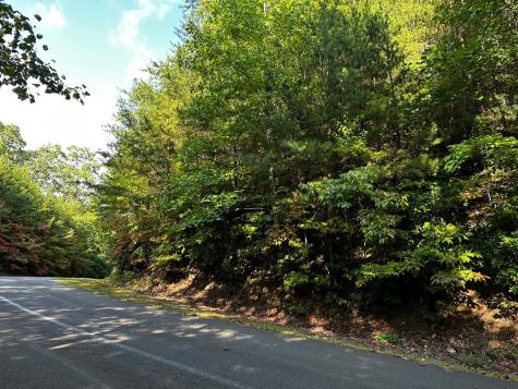 63 Street Andrews Way Ellijay GA 30536