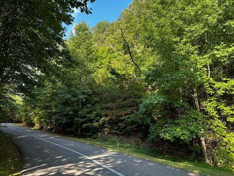 63 Street Andrews Way Ellijay GA 30536