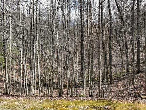 63 Street Andrews Way Ellijay GA 30536