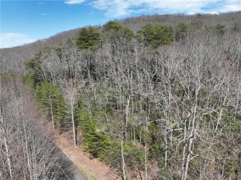 63 Street Andrews Way Ellijay GA 30536