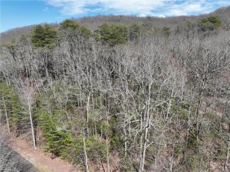 63 Street Andrews Way Ellijay GA 30536