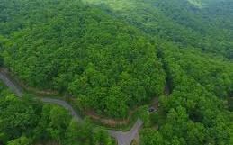 Lot 34 Lt 34 Utana Bluffs East Ellijay GA 30540