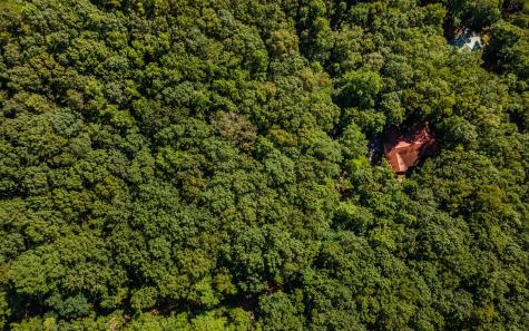 L11 Mattie Lane Blairsville GA 30512