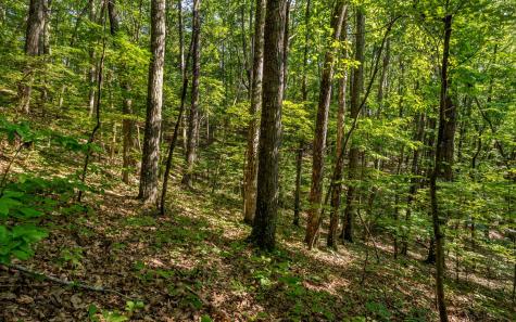 L11 Mattie Lane Blairsville GA 30512