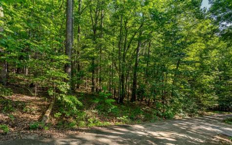 L11 Mattie Lane Blairsville GA 30512